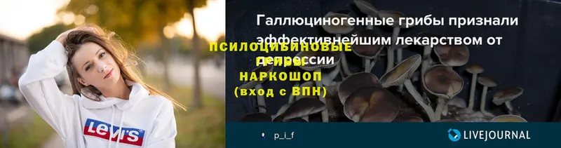 купить  сайты  shop телеграм  Галлюциногенные грибы Psilocybe  Котельники 